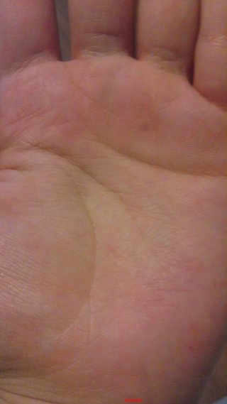 手相見ます!!1日限定３人