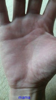 手相見ます!!1日限定３人