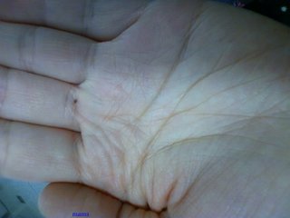 手相見ます!!1日限定３人