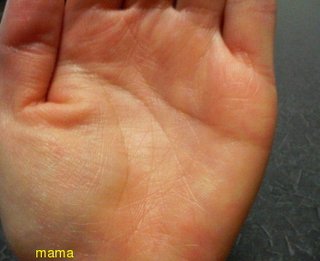 手相見ます!!1日限定３人