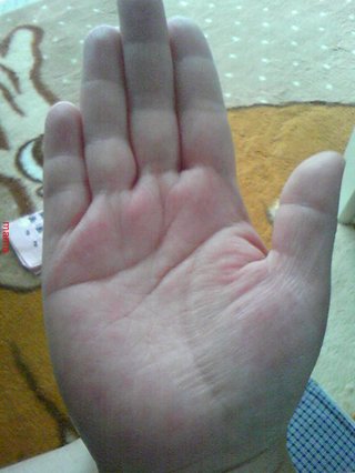 手相見ます!!1日限定３人