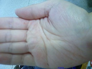 手相見ます!!1日限定３人