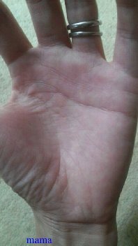 手相見ます!!1日限定３人