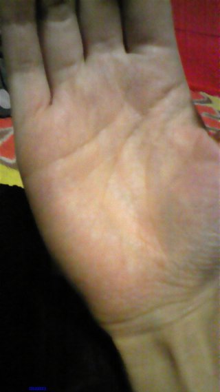 手相見ます!!1日限定３人