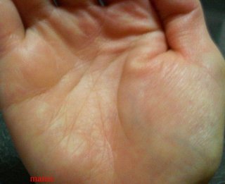 手相見ます!!1日限定３人