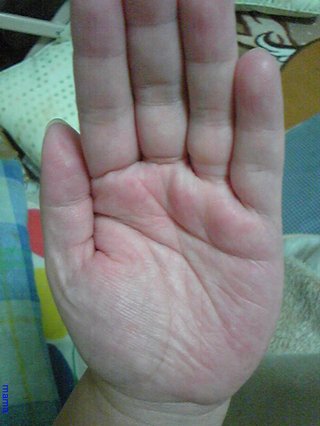 手相見ます!!1日限定３人