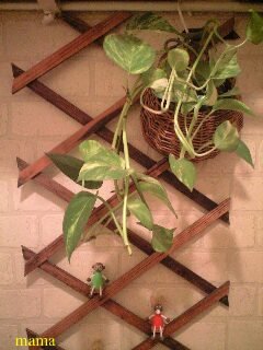 【賃貸版】ﾘﾋﾞﾝｸﾞ・ｷｯﾁﾝetc