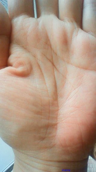 手相見ます!!1日限定３人