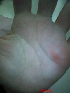 手相見ます!!1日限定３人