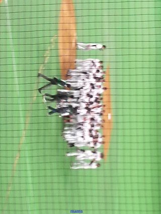 【プロ野球】応援しよう！