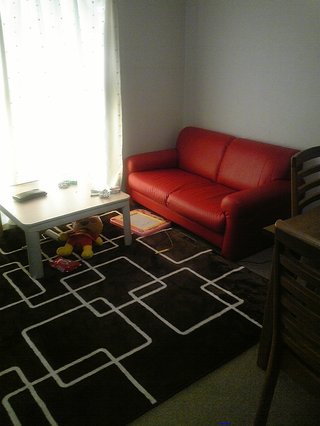 【狭】【汚】写ﾍﾟﾀ求む【古】【賃貸】