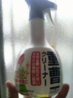 100均でお薦めの掃除用具