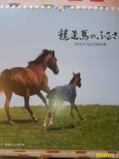 競馬【総合】