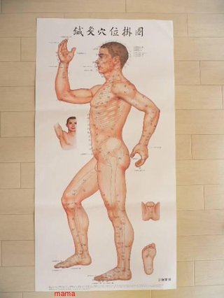 禁止※経穴【つぼ】に詳しい方お願いします。