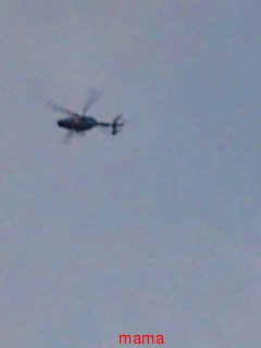 【ちらし裏】聞いてほしいの【ここに書け】