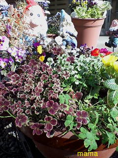 【写有】一億円札風を財布にいれてる人？？