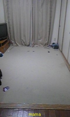 【賃貸版】ﾘﾋﾞﾝｸﾞ・ｷｯﾁﾝetc