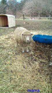 玉木宏 【総合】