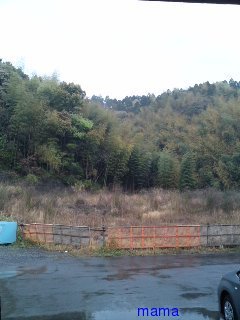 自宅から徒歩一分圏内には何がある？