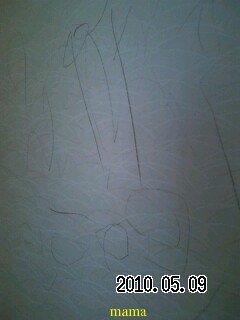 【狭】【汚】写ﾍﾟﾀ求む【古】【賃貸】