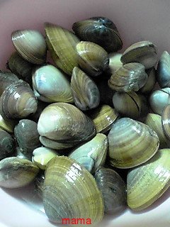 [関東]潮干狩り情報～