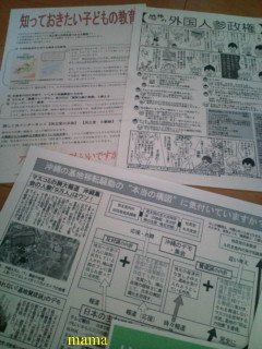 政治に関して、ば かでも分かる説明