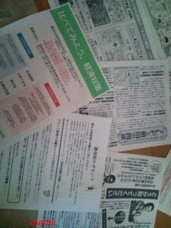 政治に関して、ば かでも分かる説明