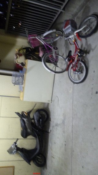 市営もしくは県営