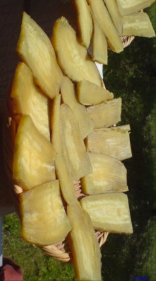 【ちらし裏】聞いてほしいの【ここに書け】