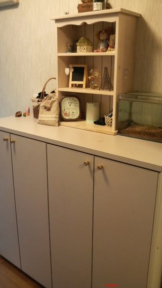 【賃貸版】ﾘﾋﾞﾝｸﾞ・ｷｯﾁﾝetc