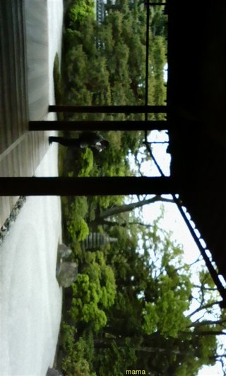 大阪、京都、奈良にお住まいの皆様！教えて下さい。