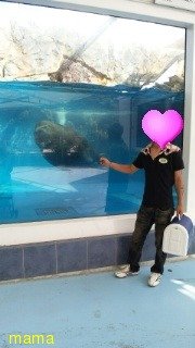 霊感ある人お願いします