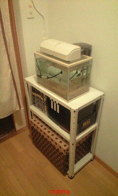 【賃貸版】ﾘﾋﾞﾝｸﾞ・ｷｯﾁﾝetc