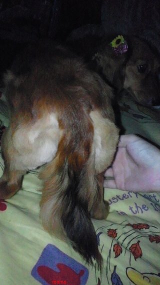 【ちらし裏】聞いてほしいの【ここに書け】