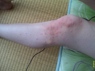 【ちらし裏】聞いてほしいの【ここに書け】