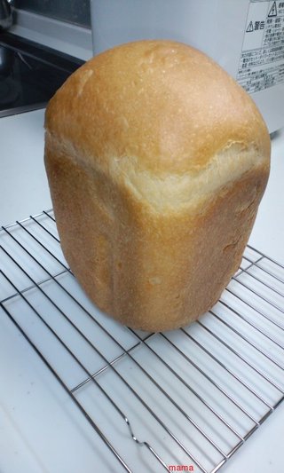 【ちらし裏】聞いてほしいの【ここに書け】