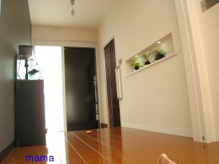 【悩み】ﾏｲﾎｰﾑ総合ﾄﾋﾟ【解決】