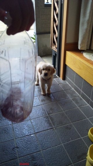 【ﾄﾞｸ部屋&#x{11:F991};】(*´艸`*)