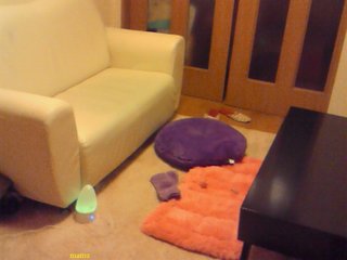 お家をペタしてください！