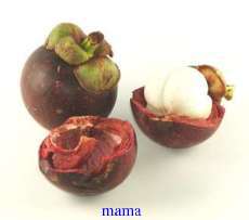 この果物 なんですか？