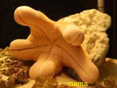 どうでもいい報告してください