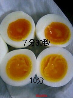 半熟ゆで卵