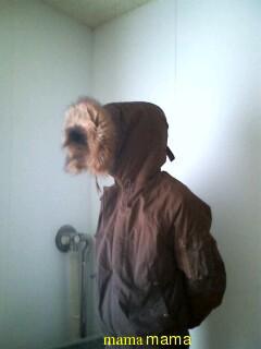 新山千春ってブログやってないんですか？