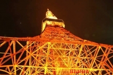 ピンクの東京タワーが見たい