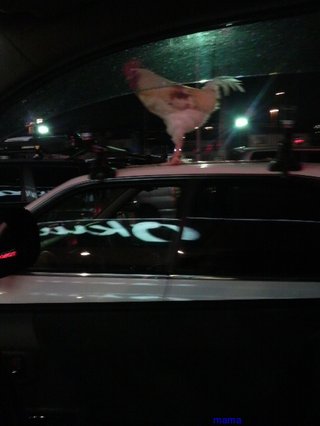 探偵ナイトスクープ