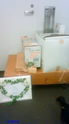 浅田好未ｻﾝのﾌﾞﾛｸﾞ☆