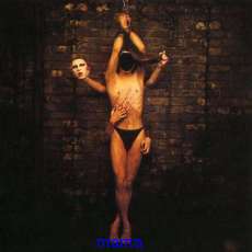 男性タレントのヌードが見たい！