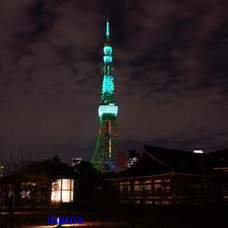 ピンクの東京タワーが見たい