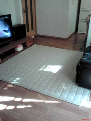 【賃貸版】ﾘﾋﾞﾝｸﾞ・ｷｯﾁﾝetc