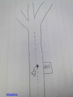 運転上手い人アドバイスを下さい